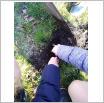 Galeria zdjęć: PROJEKT KROKUS w SP Krzemieniewice. Link otwiera powiększoną wersję zdjęcia.